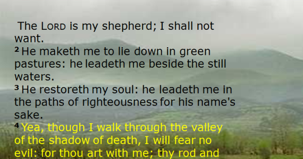 What is Psalm 23 of the King James Bible about?